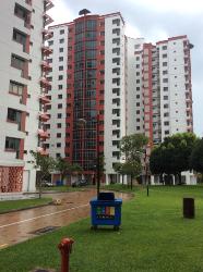 Blk 453 Choa Chu Kang Avenue 4 (Choa Chu Kang), HDB Executive #19666262